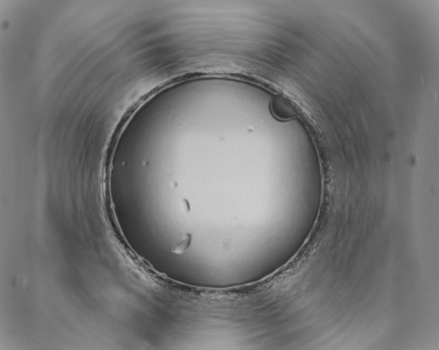 X0000088020840200705251049