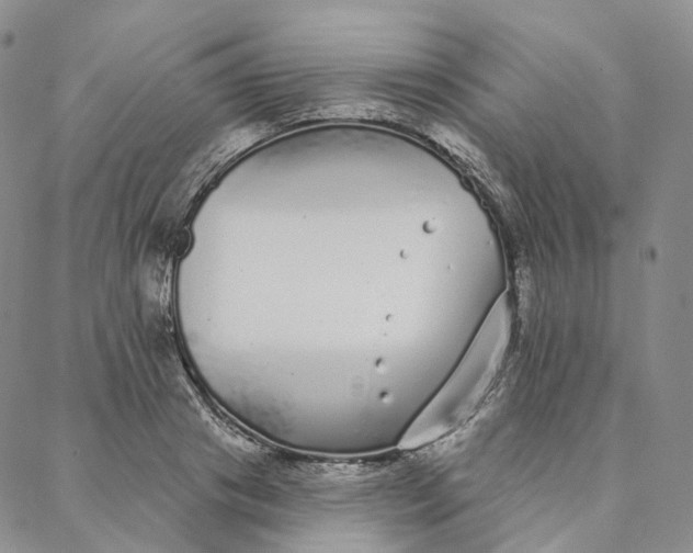 X0000088020841200705251049