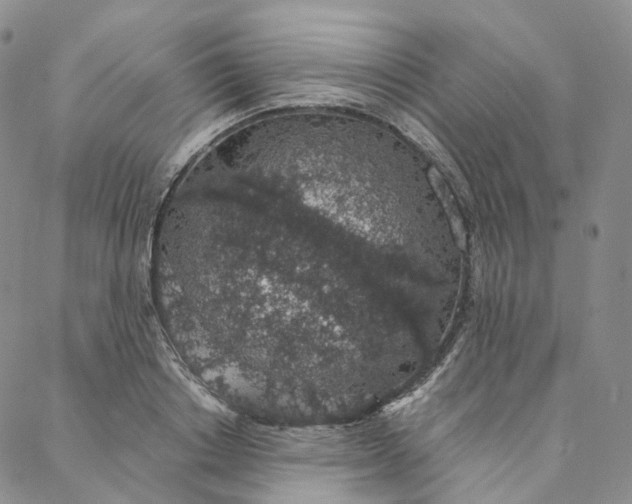 X0000088020842200705251050