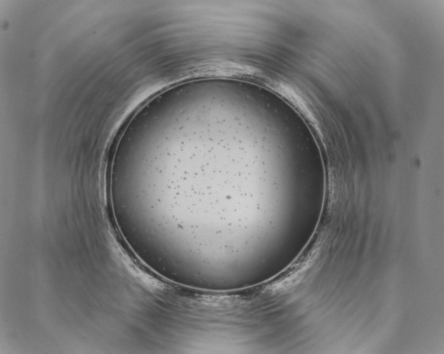 X0000088020843200705251050