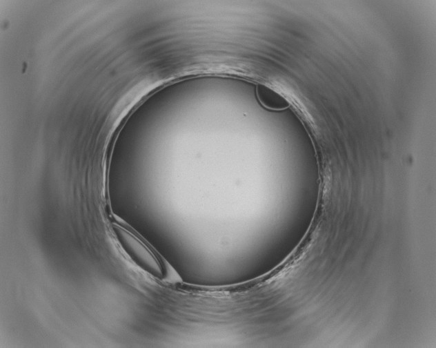 X0000088020844200705251050