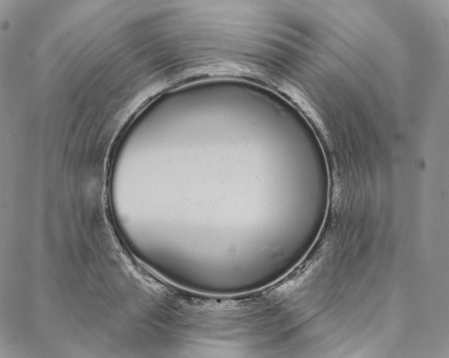 X0000088020845200705251050