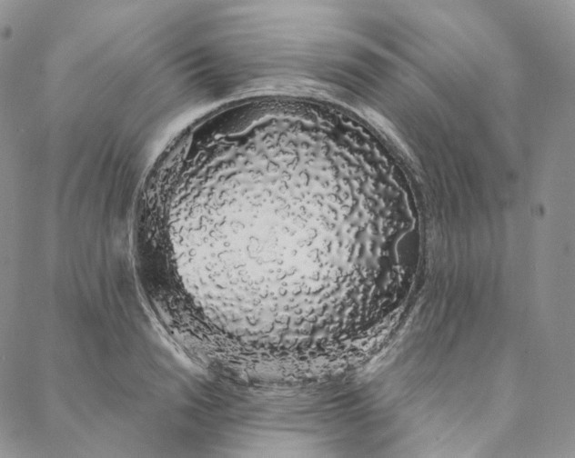 X0000088020846200705251050