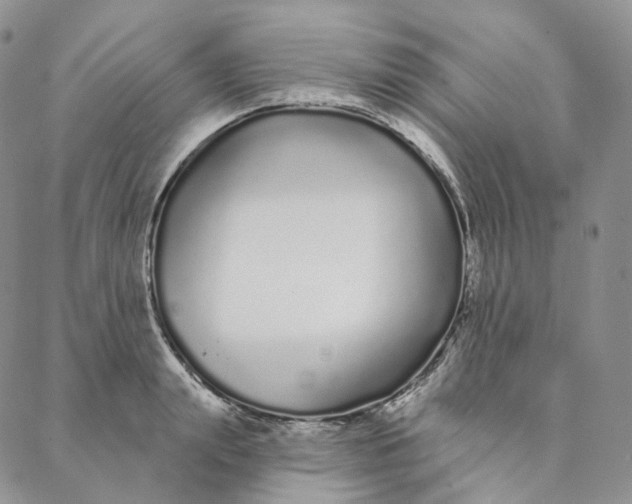 X0000088020847200705251050