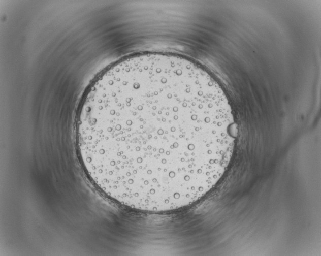 X0000088020848200705251050