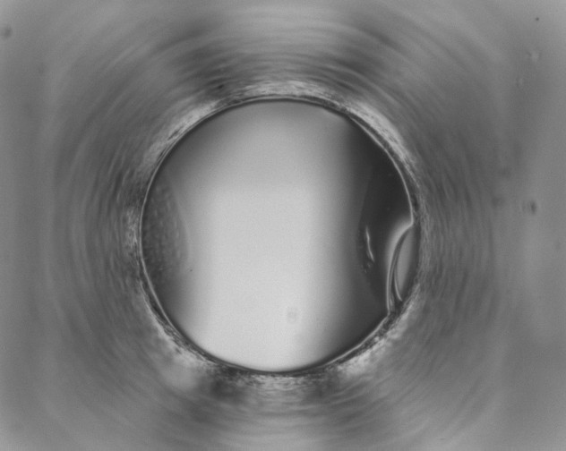 X0000088020849200705251050