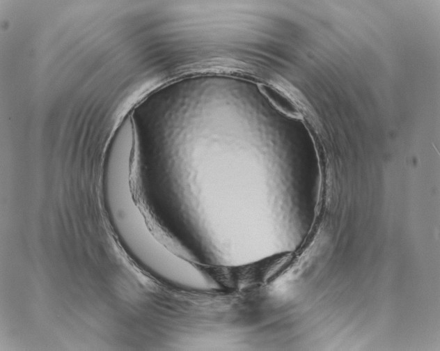 X0000088020850200705251050