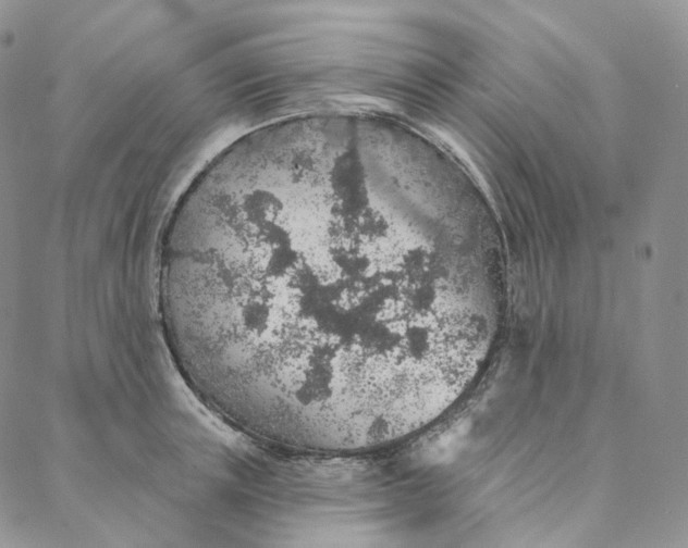 X0000088020851200705251050