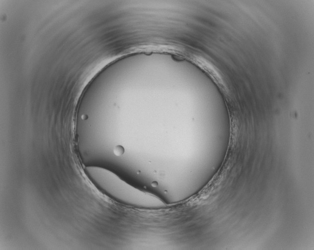 X0000088020852200705251050