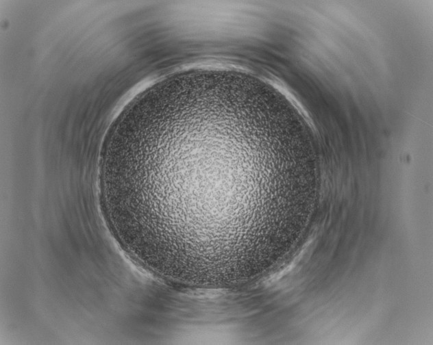 X0000088020853200705251050