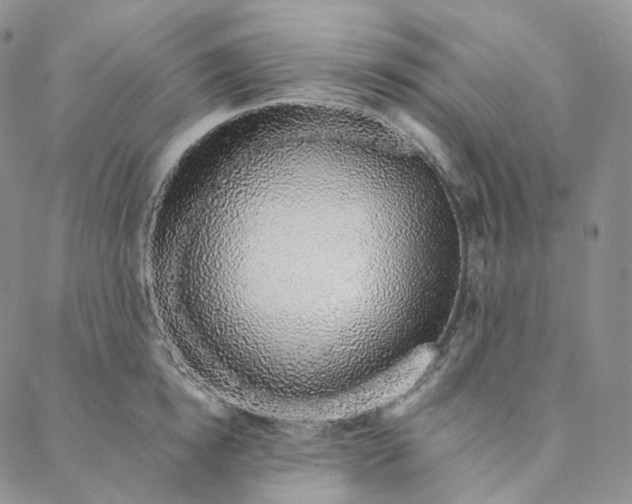 X0000088020854200705251050