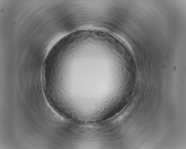 X0000088020855200705251050