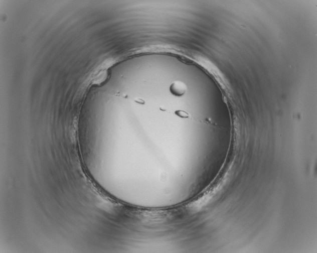 X0000088020857200705251050