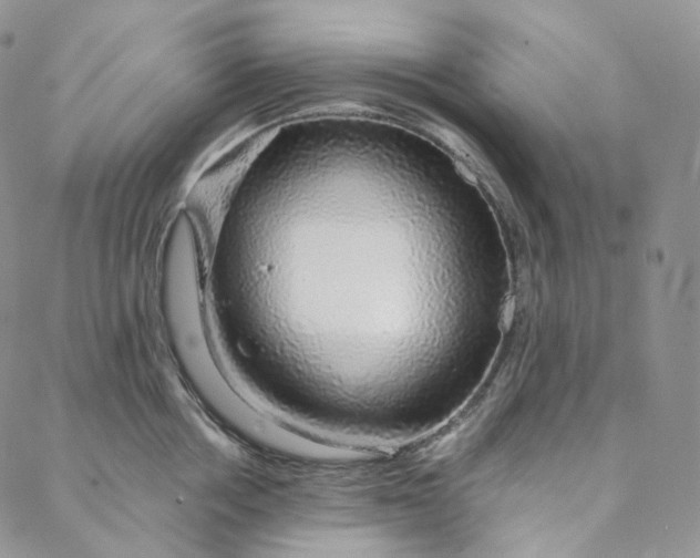 X0000088020858200705251050