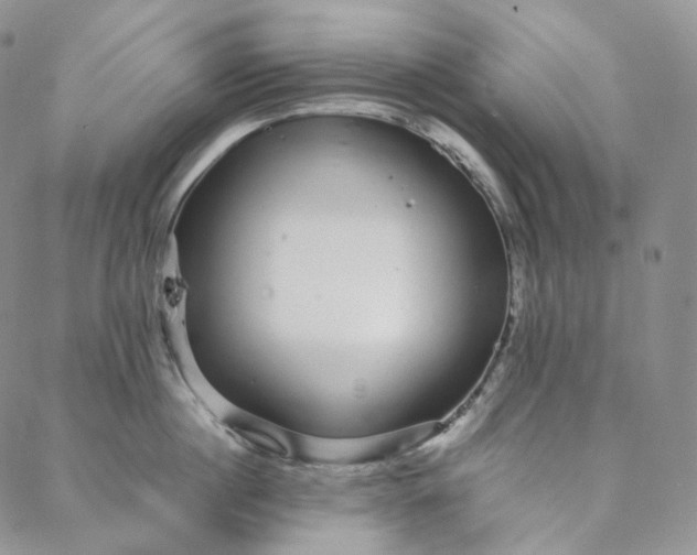 X0000088020860200705251050