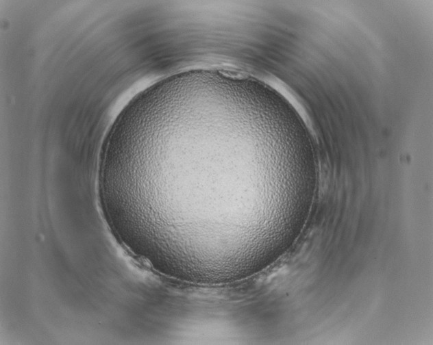 X0000088020861200705251050