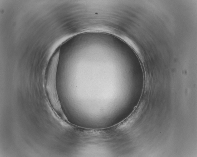 X0000088020862200705251050