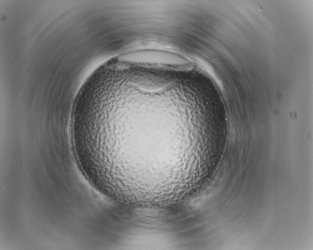 X0000088020863200705251050