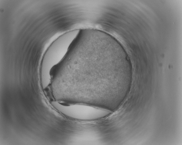 X0000088020864200705251050