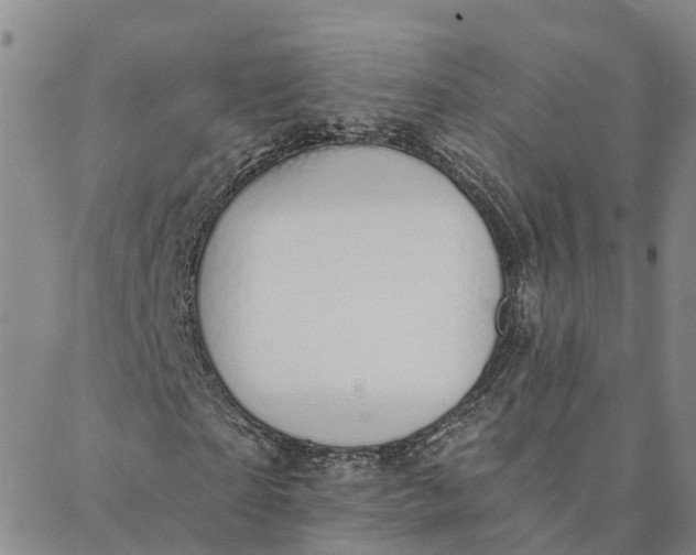 X0000088020865200705251049