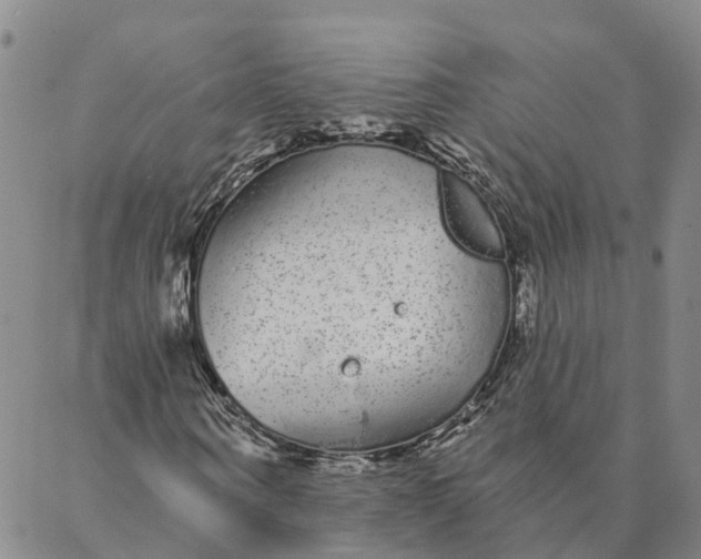 X0000088020866200705251049