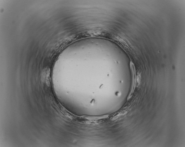 X0000088020867200705251049