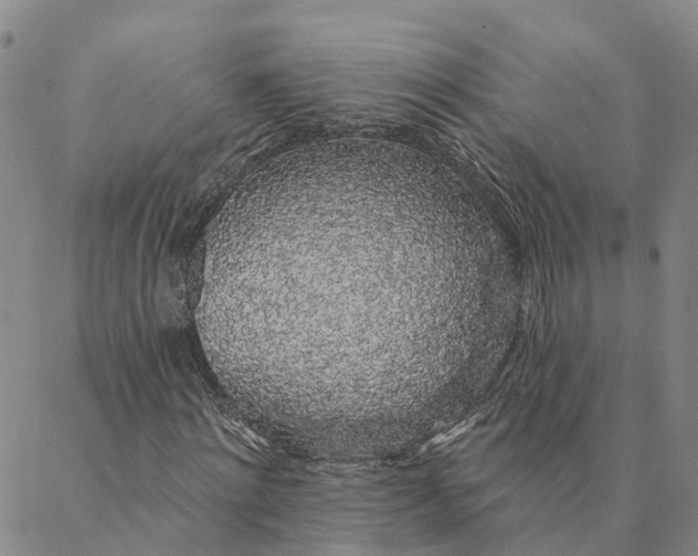 X0000088020868200705251049