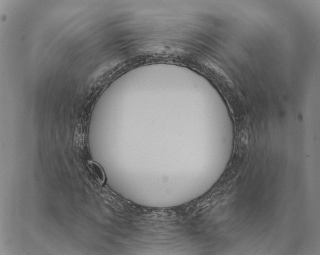 X0000088020869200705251049