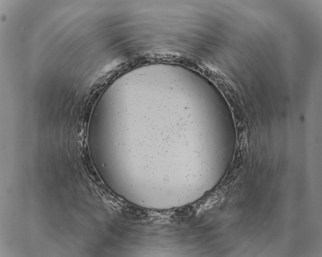 X0000088020870200705251049