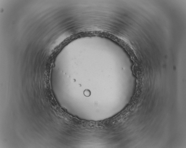 X0000088020871200705251049