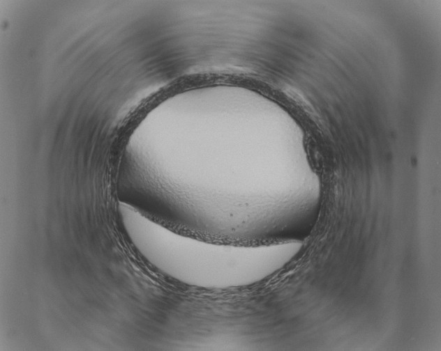 X0000088020872200705251049