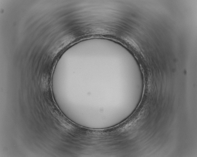 X0000088020873200705251049