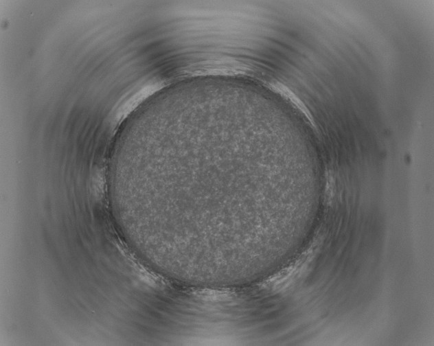 X0000088020874200705251049