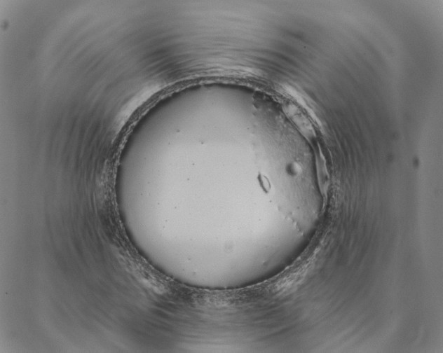 X0000088020875200705251049