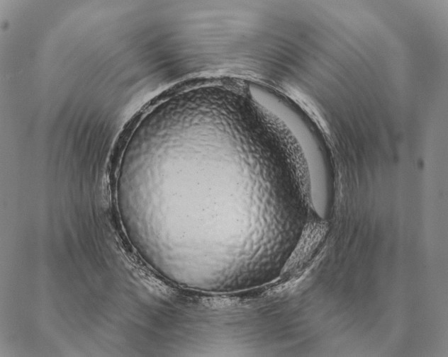 X0000088020876200705251049