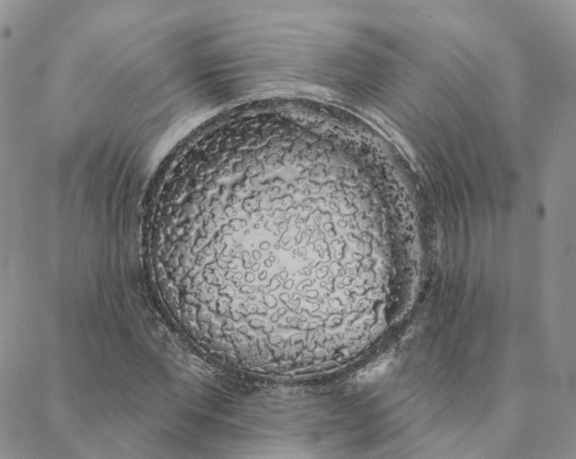 X0000088020877200705251049