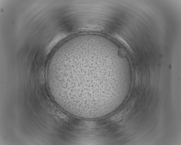 X0000088020878200705251049