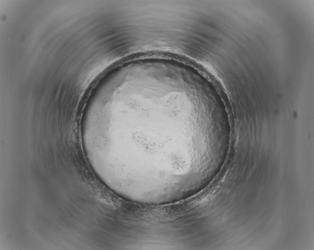 X0000088020879200705251049