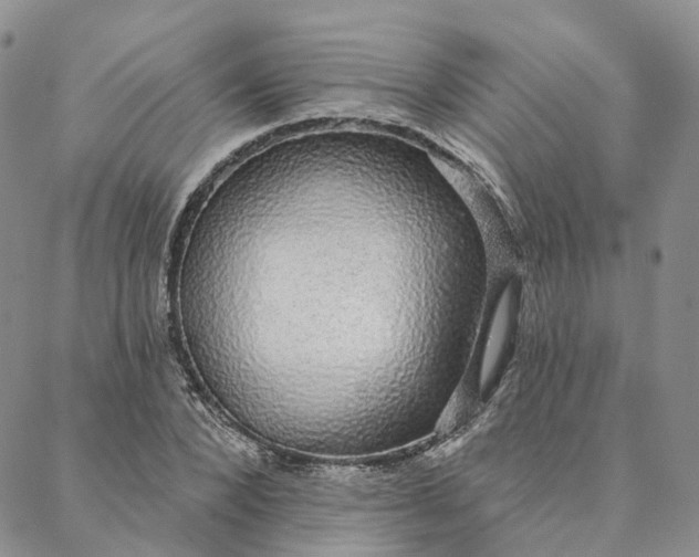 X0000088020880200705251049