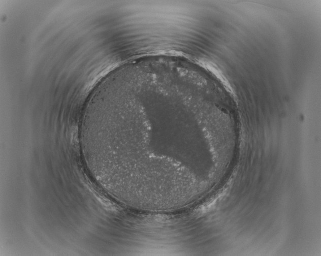 X0000088020881200705251049