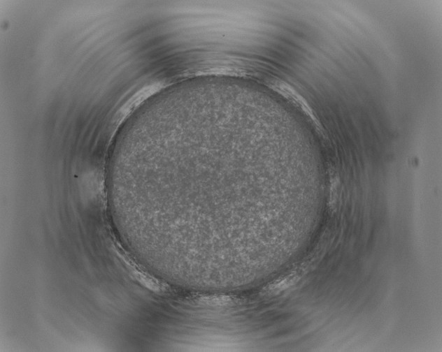 X0000088020882200705251049