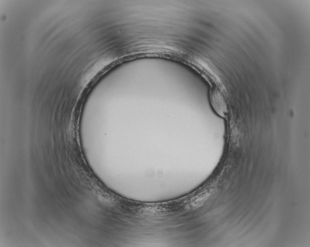 X0000088020883200705251049