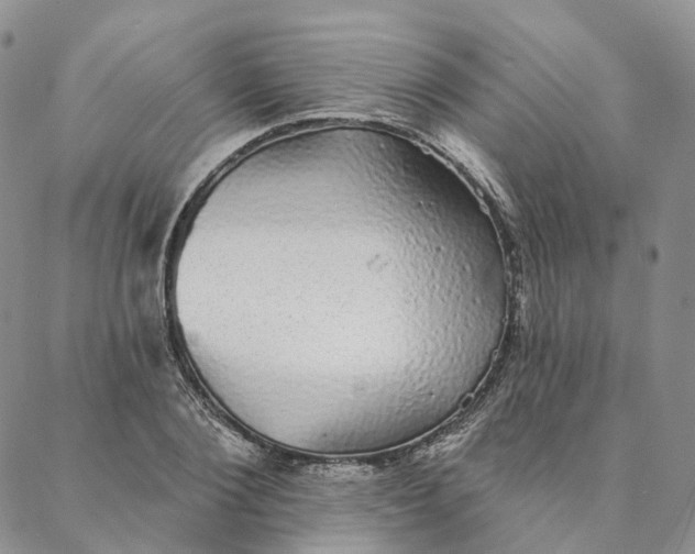 X0000088020884200705251049