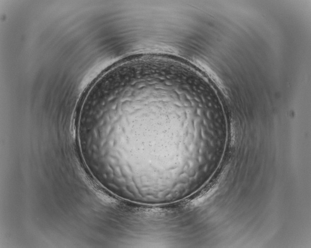 X0000088020885200705251049