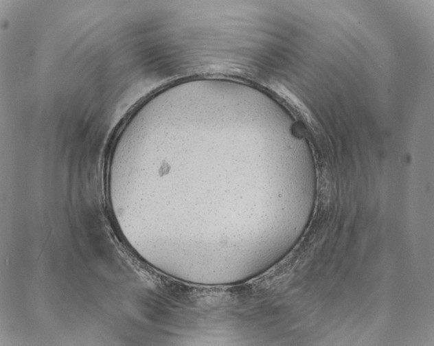 X0000088020886200705251049