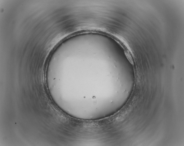 X0000088020887200705251049