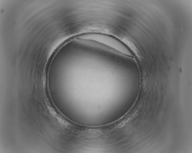 X0000088020888200705251049