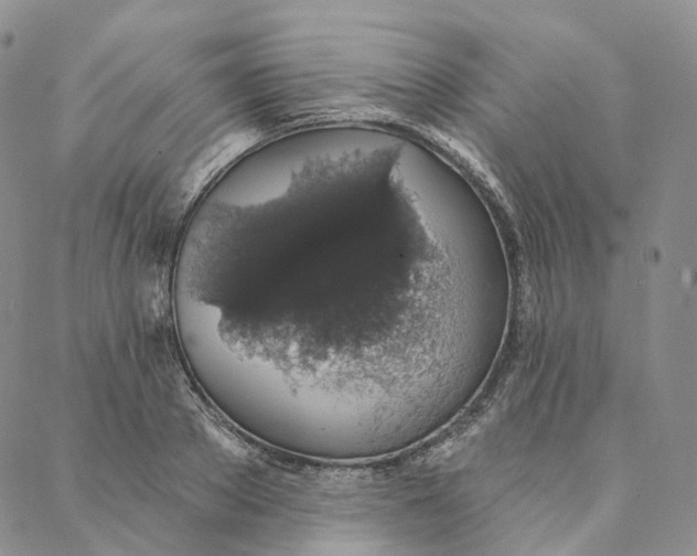 X0000088020889200705251049