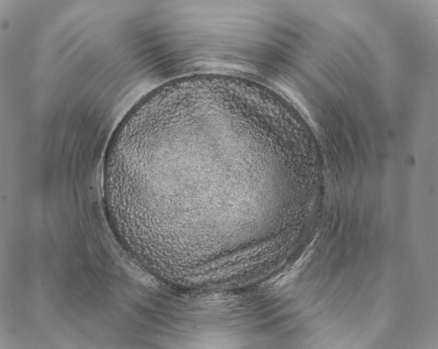 X0000088020891200705251049