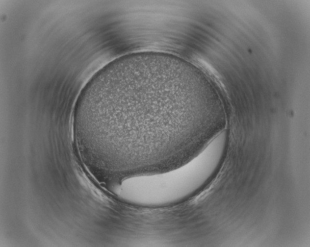 X0000088020892200705251049